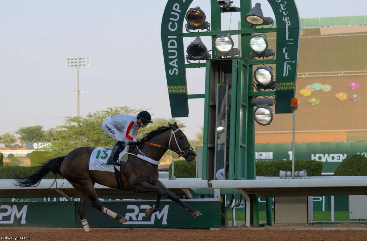 فرسان كأس السعودية