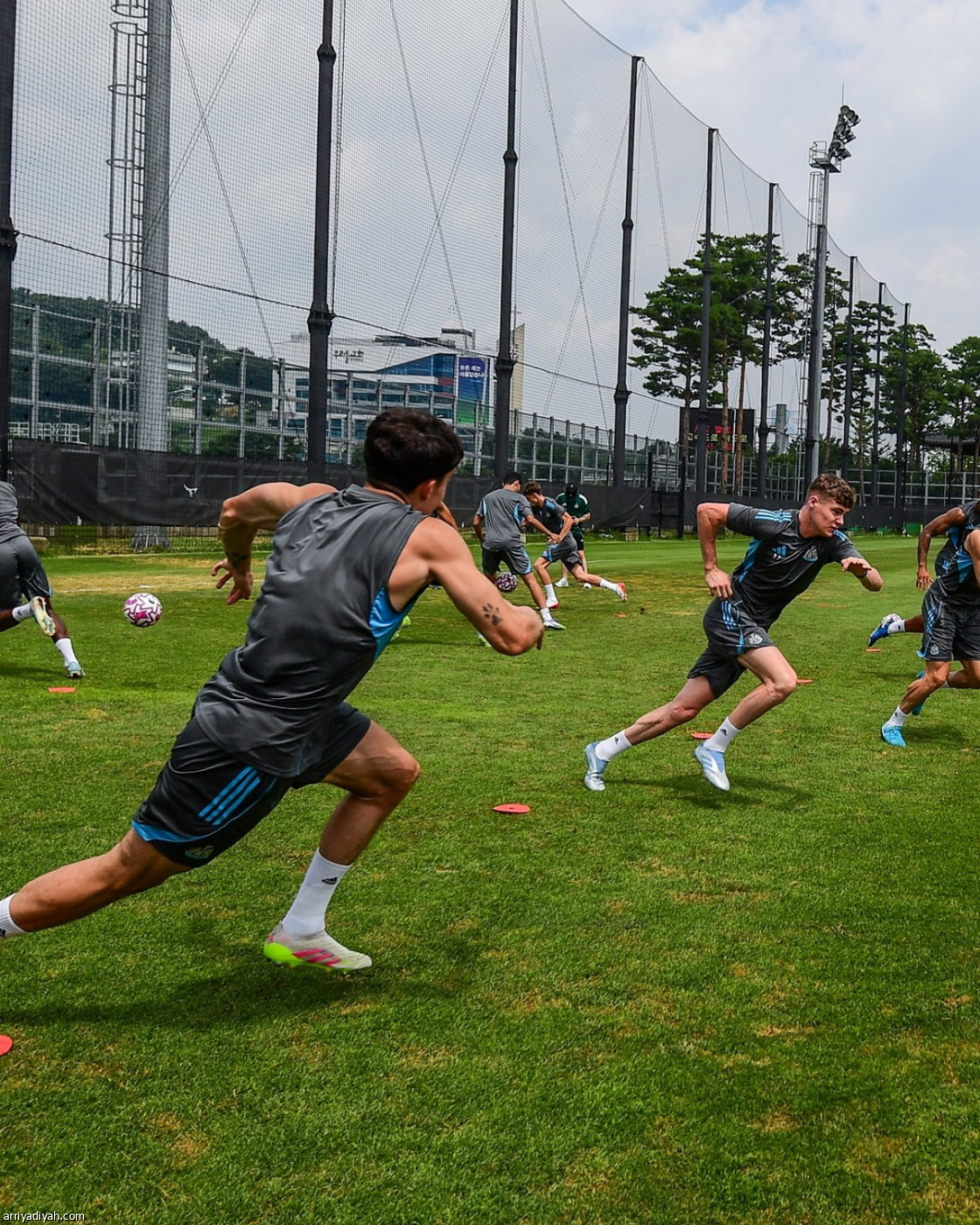 نيوكاسل.. نهاية الجولة