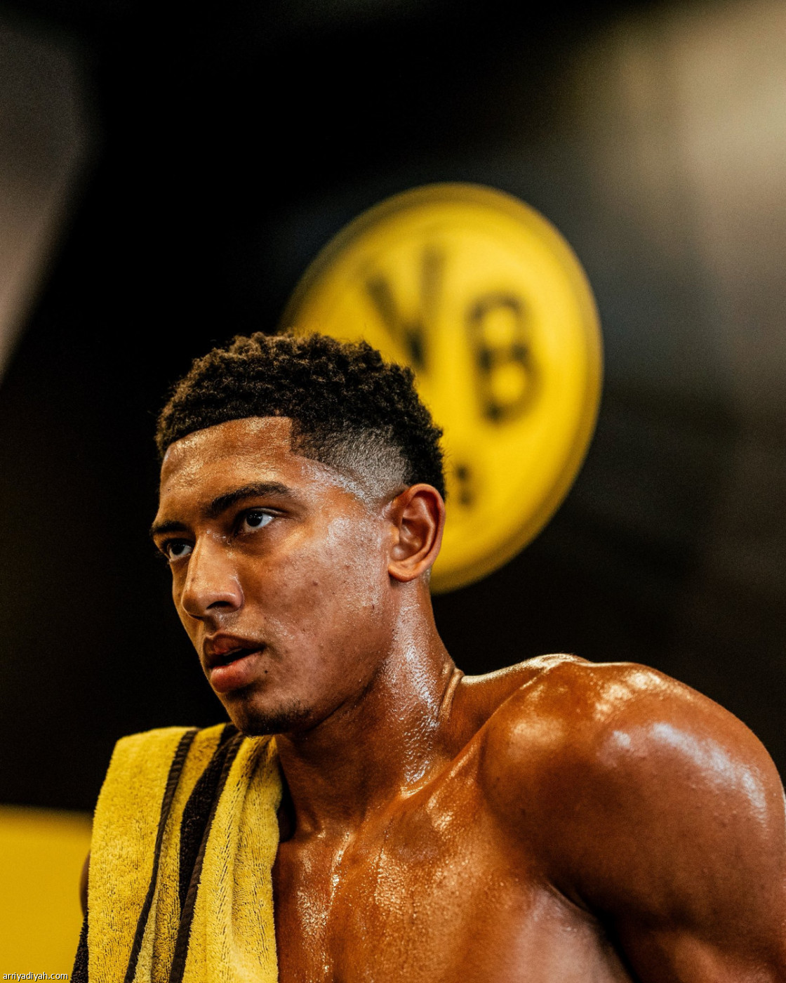 دورتموند يعود