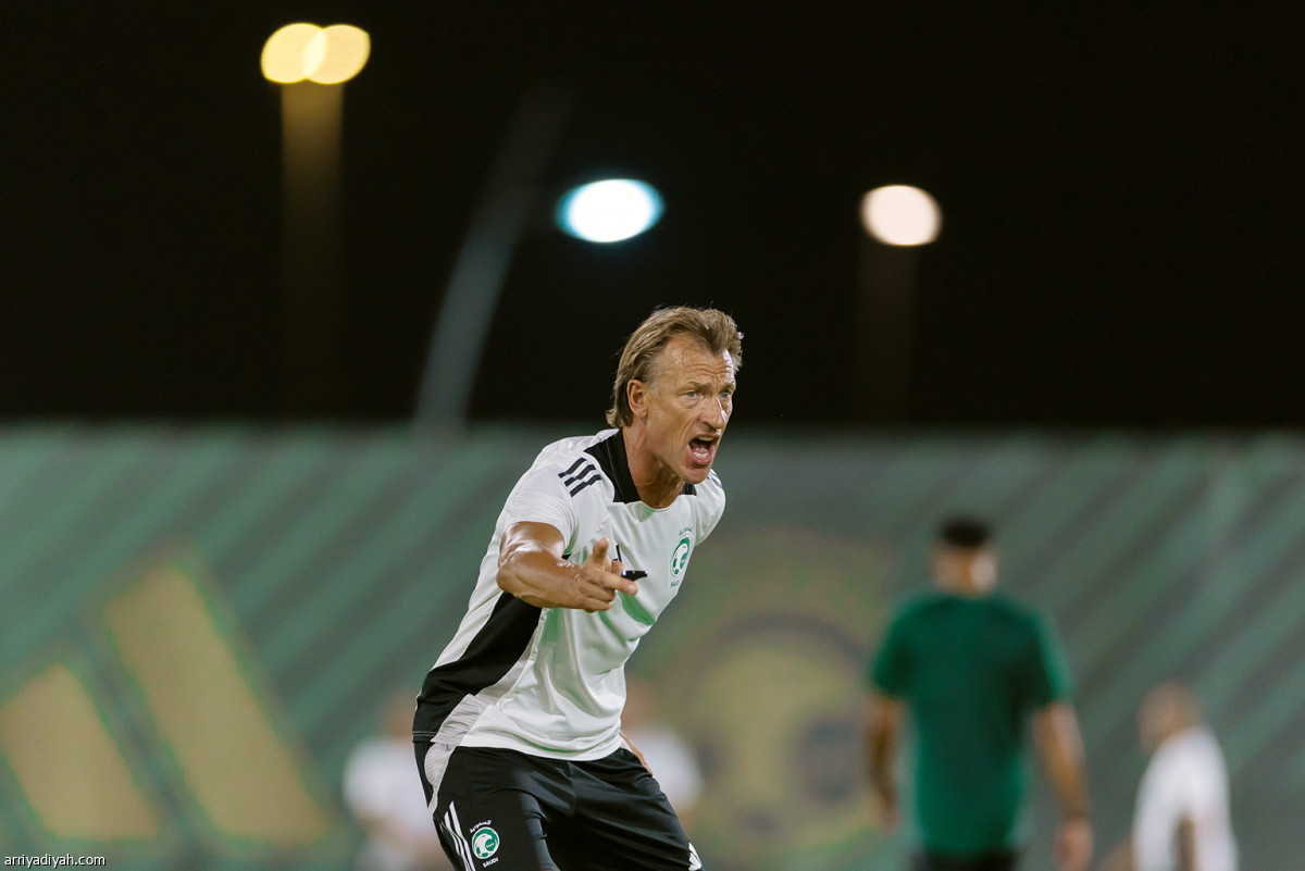 صيحات رينارد